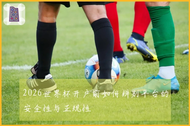 2026世界杯开户前如何辨别平台的安全性与正规性