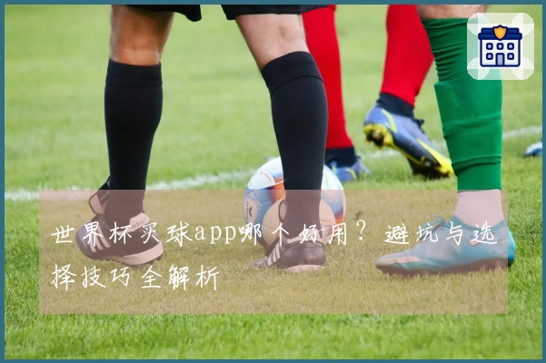 世界杯买球app哪个好用？避坑与选择技巧全解析