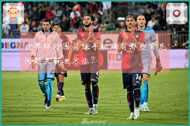 世界杯外围买球手机端有哪些常见问题及解决方法？