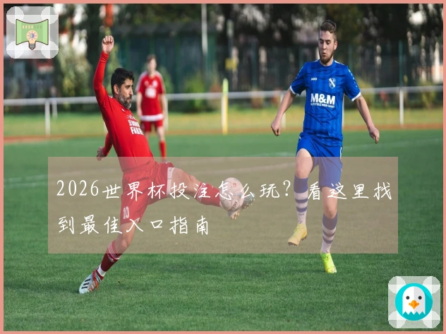 2026世界杯投注怎么玩？看这里找到最佳入口指南