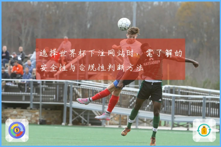 选择世界杯下注网站时，需了解的安全性与合规性判断方法