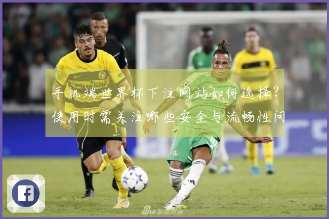 手机端世界杯下注网站如何选择？使用时需关注哪些安全与流畅性问题