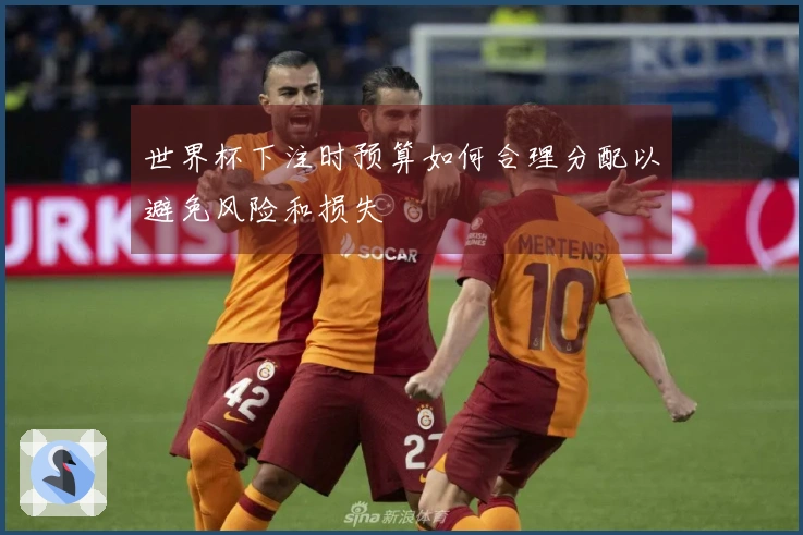 世界杯下注时预算如何合理分配以避免风险和损失