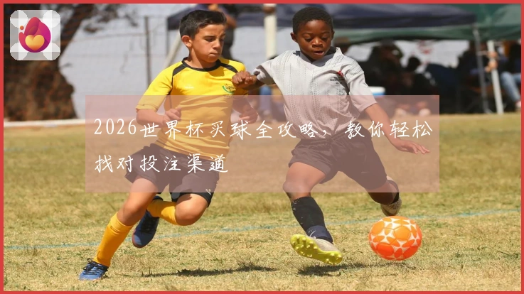 2026世界杯买球全攻略，教你轻松找对投注渠道
