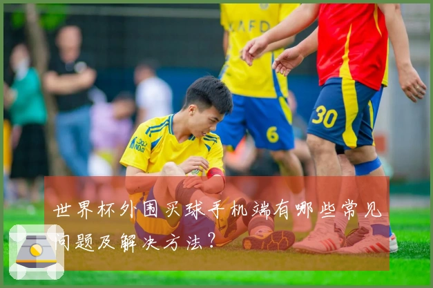 世界杯外围买球手机端有哪些常见问题及解决方法？