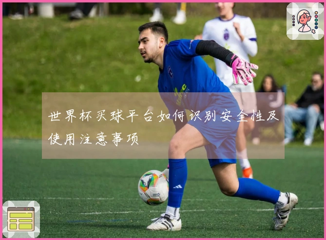 世界杯买球平台如何识别安全性及使用注意事项