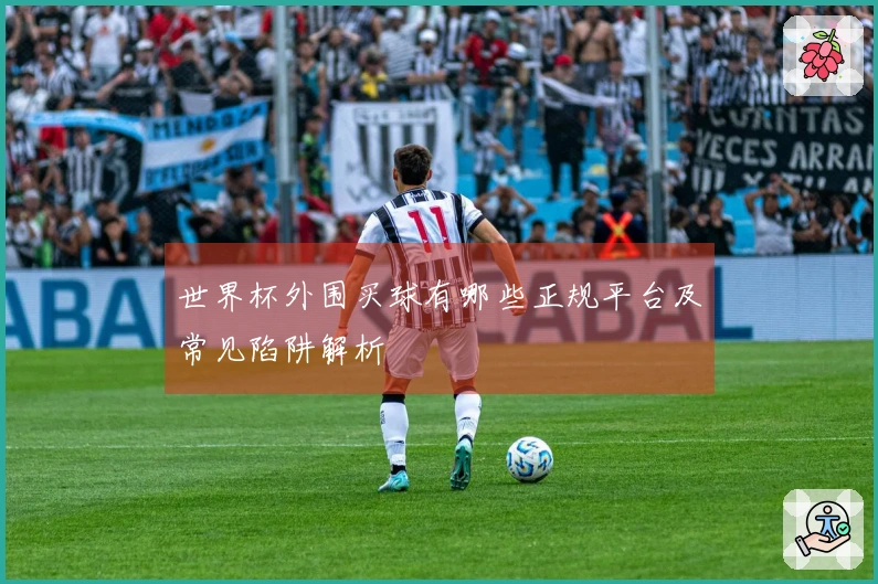 世界杯外围买球有哪些正规平台及常见陷阱解析