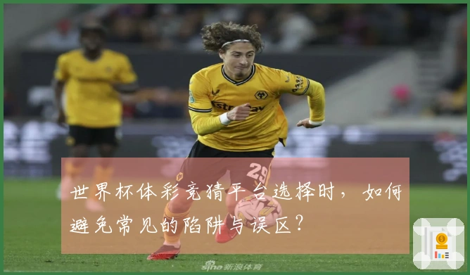 世界杯体彩竞猜平台选择时，如何避免常见的陷阱与误区？