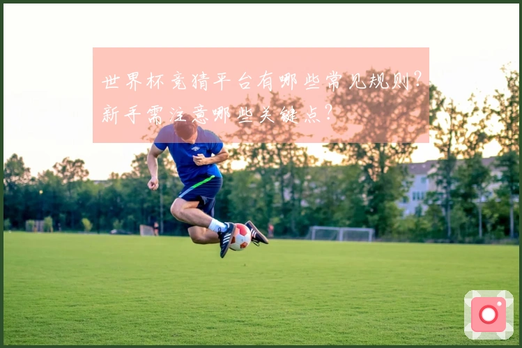 世界杯竞猜平台有哪些常见规则？新手需注意哪些关键点？