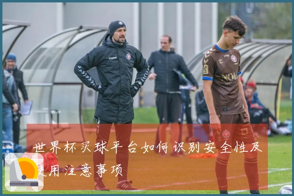 世界杯买球平台如何识别安全性及使用注意事项