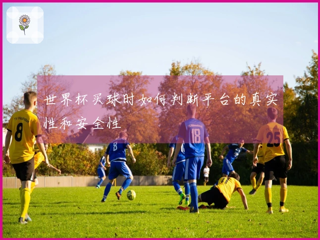 世界杯买球时如何判断平台的真实性和安全性