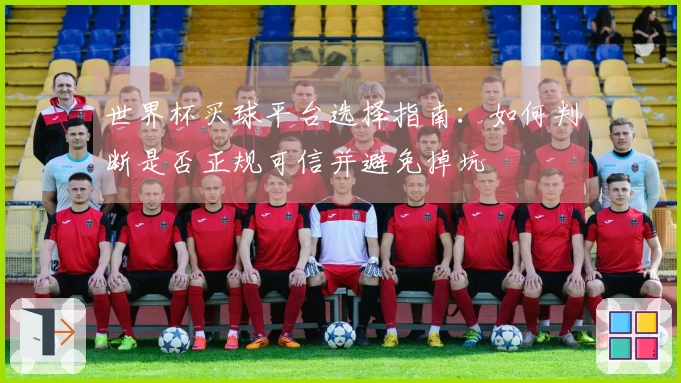 世界杯买球平台选择指南：如何判断是否正规可信并避免掉坑