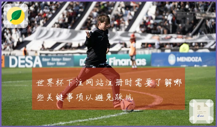 世界杯下注网站注册时需要了解哪些关键事项以避免踩坑