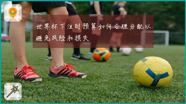 世界杯下注时预算如何合理分配以避免风险和损失