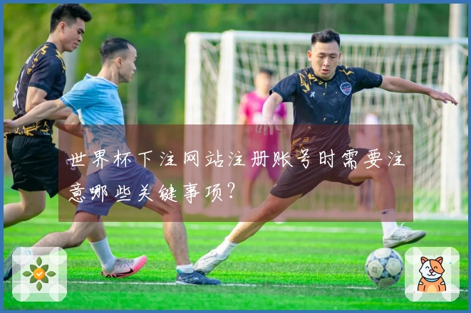 世界杯下注网站注册账号时需要注意哪些关键事项？