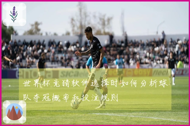 世界杯竞猜软件选择时如何分析球队夺冠概率和投注规则