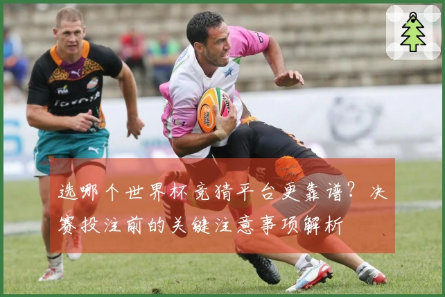 选哪个世界杯竞猜平台更靠谱？决赛投注前的关键注意事项解析