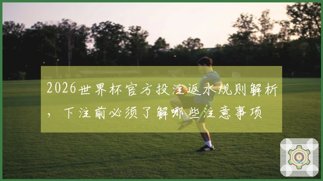2026世界杯官方投注返水规则解析，下注前必须了解哪些注意事项