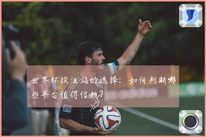 世界杯投注站的选择：如何判断哪些平台值得信赖？