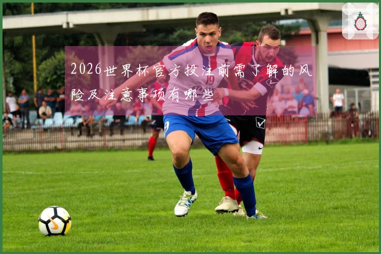 2026世界杯官方投注前需了解的风险及注意事项有哪些
