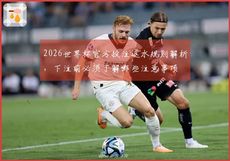 2026世界杯官方投注返水规则解析，下注前必须了解哪些注意事项