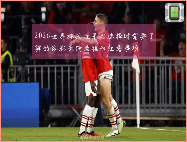 2026世界杯投注平台选择时需要了解的体彩竞猜流程和注意事项