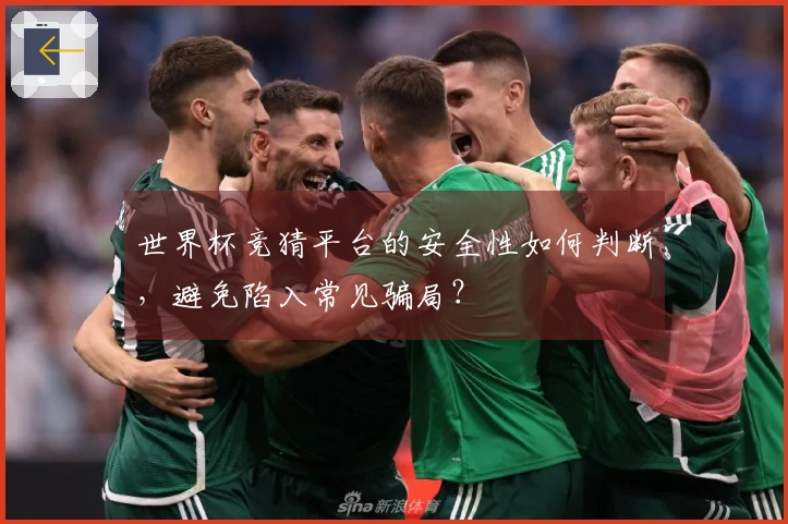 世界杯竞猜平台的安全性如何判断，避免陷入常见骗局？