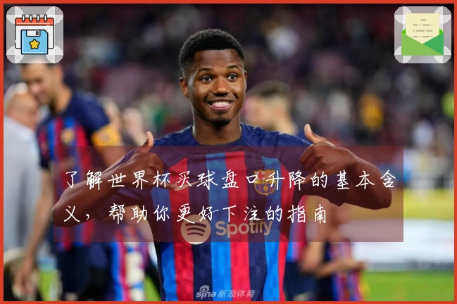 了解世界杯买球盘口升降的基本含义，帮助你更好下注的指南