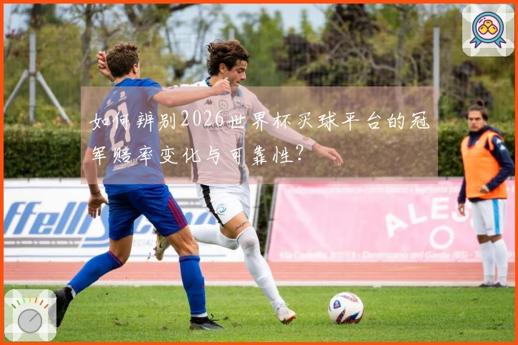 如何辨别2026世界杯买球平台的冠军赔率变化与可靠性?