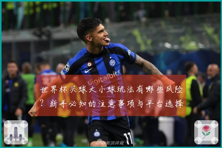 世界杯买球大小球玩法有哪些风险？新手必知的注意事项与平台选择技巧