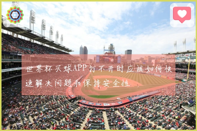 世界杯买球APP打不开时应该如何快速解决问题和保持安全性