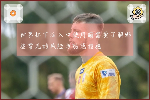 世界杯下注入口使用前需要了解哪些常见的风险与防范措施